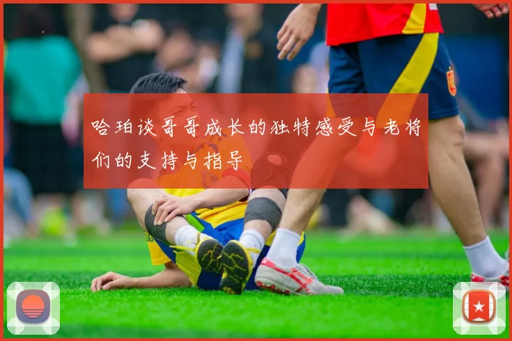 哈珀谈哥哥成长的独特感受与老将们的支持与指导